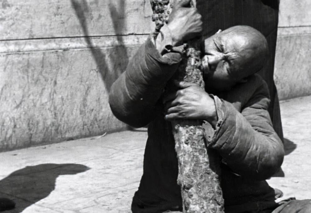 吃树皮树叶观音土300万人饿死1943年广东饥荒有多惨