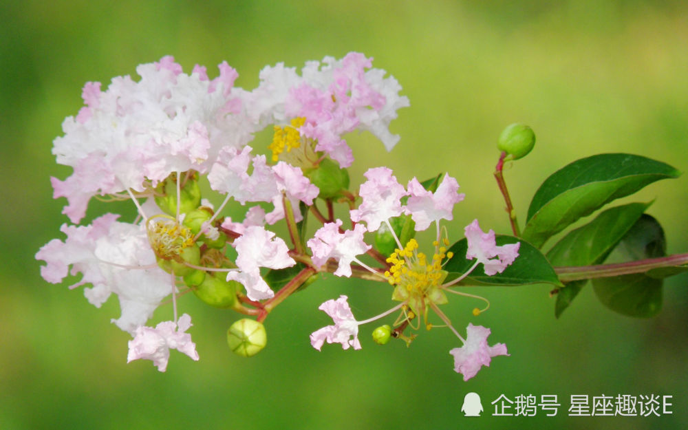 7月3日星座运势 巨蟹目标明确 天蝎团结合作 摩羯和睦相处 腾讯新闻