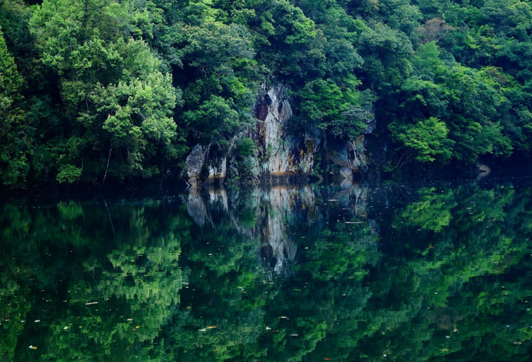 4℃,相對高差為1154米,就是九連山景區,或者也可以叫九連山國家森林