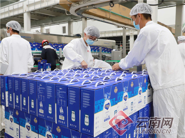 重点招商引资项目落地见效曲靖蒙牛乳业投产