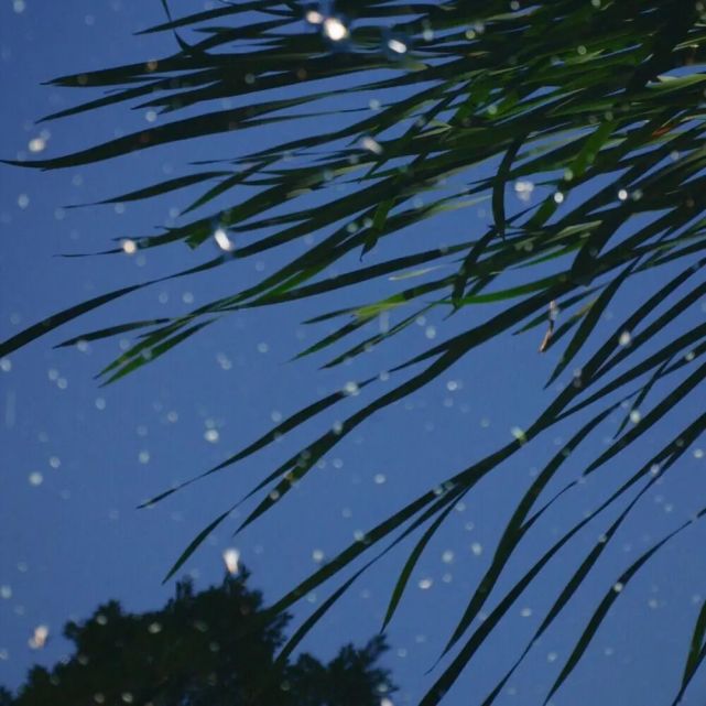 好看的封面图哦