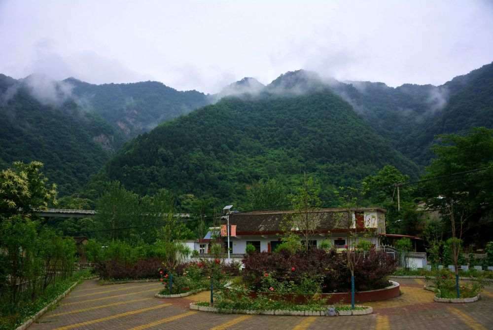 七绝61行游东岔镇桃花坪村