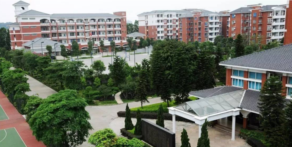 书,后来是杨国强的哥哥杨国华带着他去当建筑工才改变了杨国强的人生