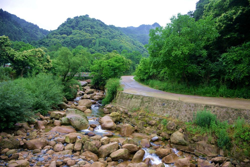 七绝61行游东岔镇桃花坪村