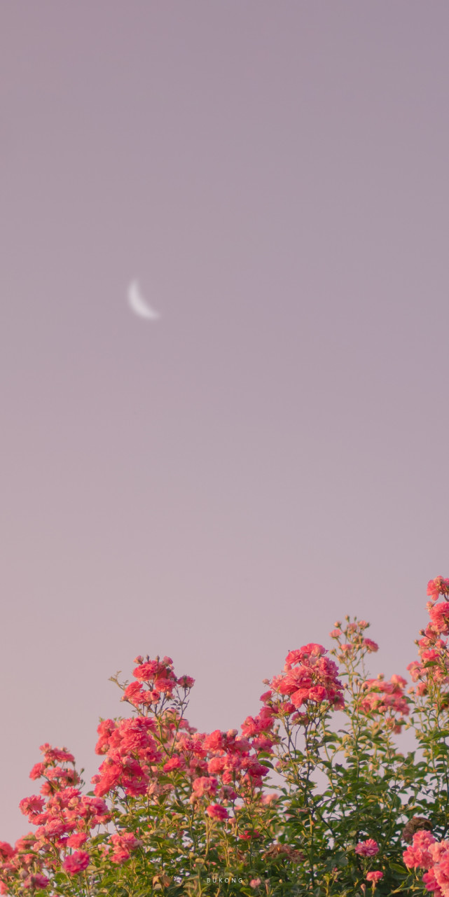 温柔又唯美的风景手机壁纸