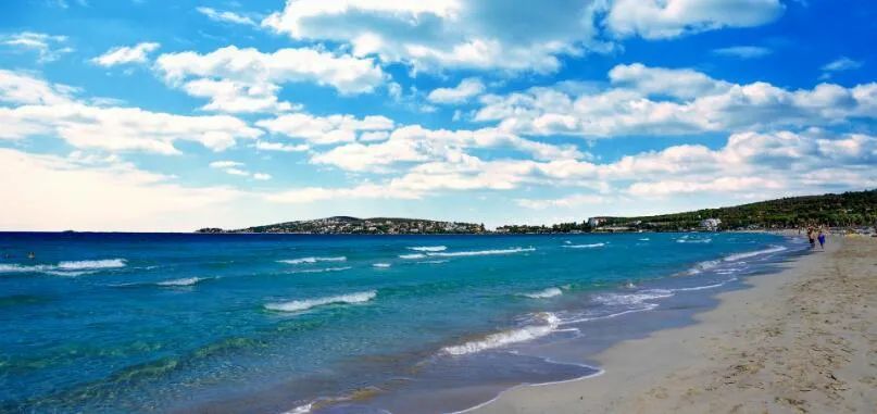 壬子日 新聞百分百