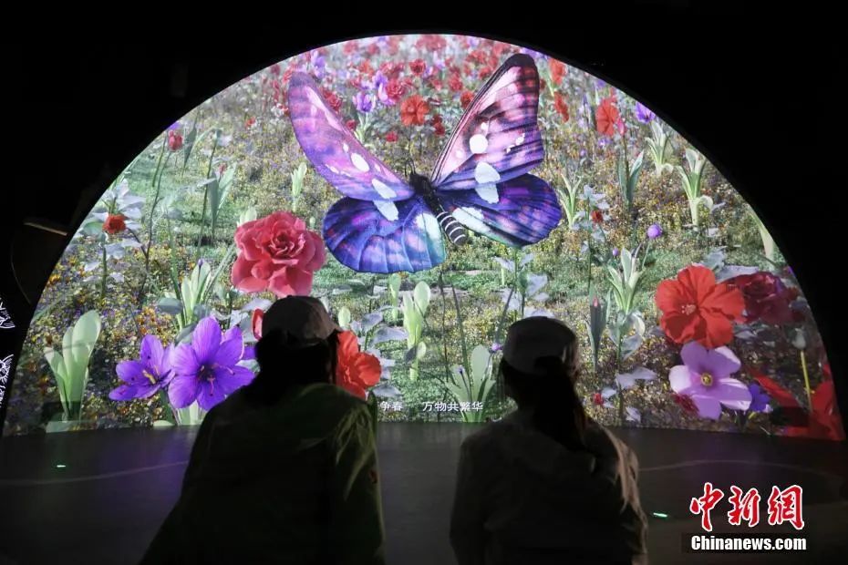 气候的花草树木,比如深受游客欢迎的大蝴蝶世纪馆屋顶花海就将被保留