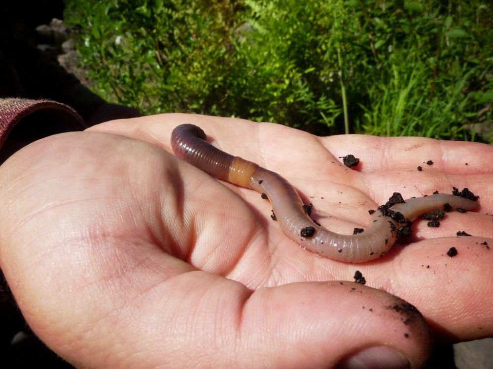 七月的鱼怎么钓,搞明白这几个问题,连杆是小事,爆护也不是难事