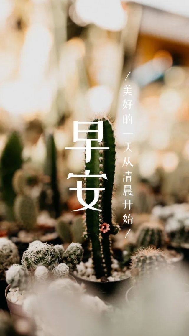 正能量早安语录朋友圈图片