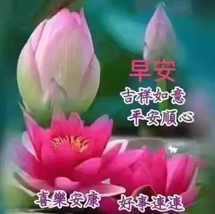 7月3日周六最新早上好问候动态表情图片早安图片表情祝福语录 腾讯新闻