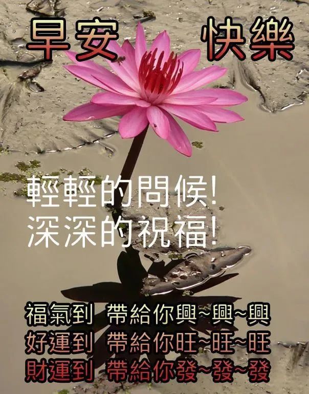 7月3日早晨好朋友 早安短信问候祝福语 最美早晨好问候表情图片带字温馨 腾讯新闻