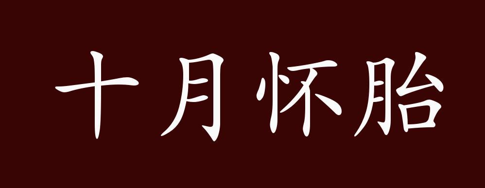 十月怀胎的出处 释义 典故 近反义词及例句用法 成语知识 腾讯新闻