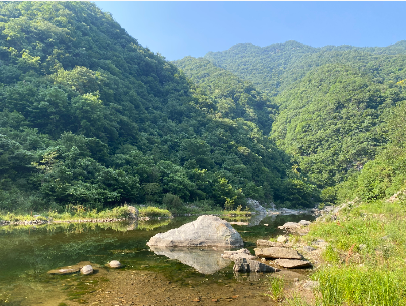 距市区3小时车程 你即将"解锁"洛阳周边这个宝藏小村