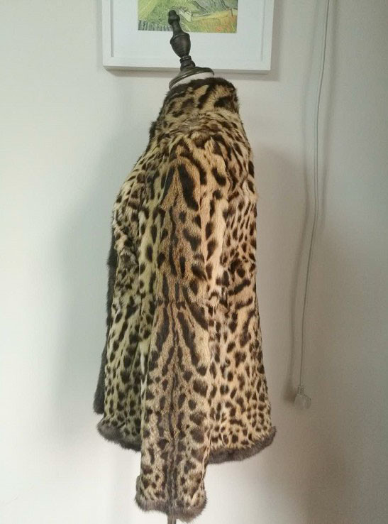 黑龙江三只"山猫"偷鸡反被杀,是国家保护动物,村民