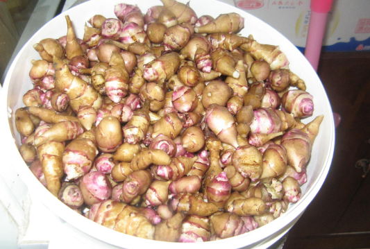 俗称"姜不辣",种1次可收10年,20年前的下饭菜,如今却遭嫌弃