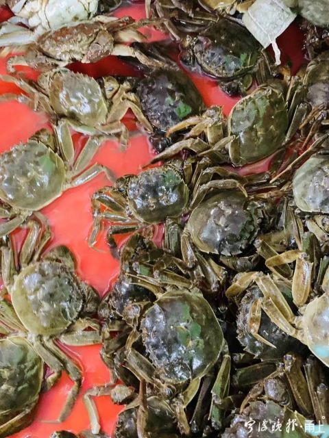 宁波人爱吃的这种鲜货提前一周上市 这些挑选技巧要记牢