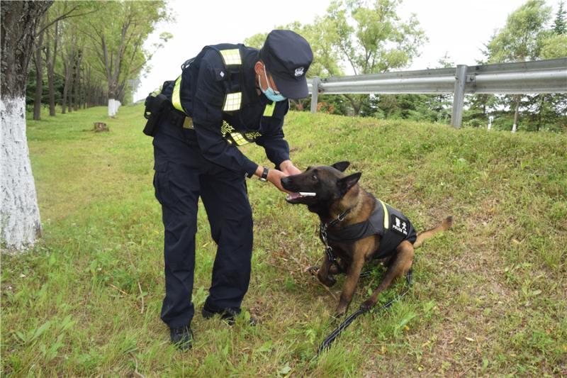 黑龍發現草叢中的手機物歸原主搜毒搜爆警犬