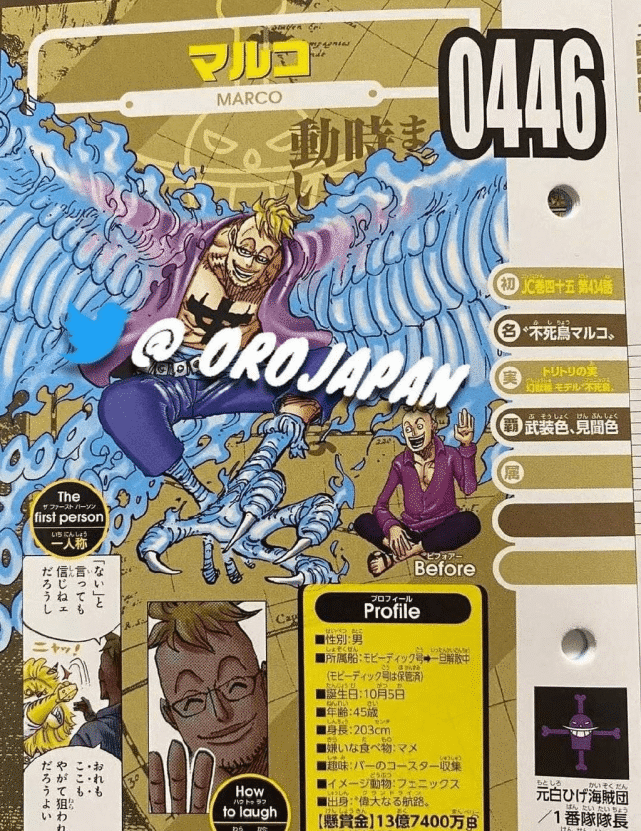 马尔科赏金13亿7400万贝里但他相比其他皇副有着一项致命弱点