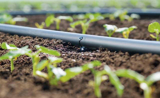 全年降雨稀少,一半为沙漠的以色列,为何一吨淡水仅卖五块钱?