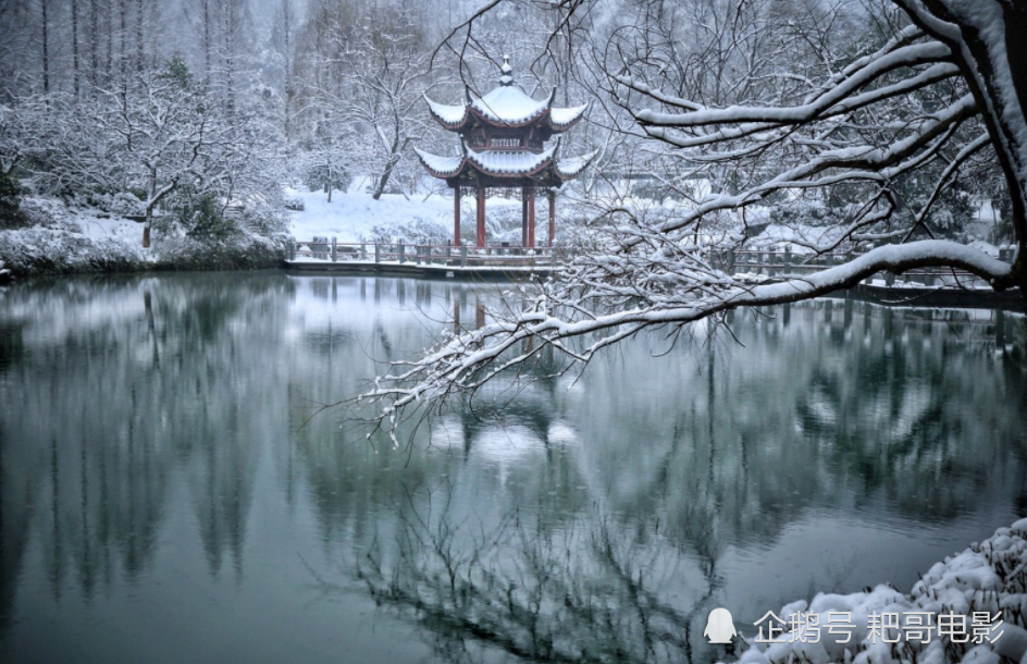 想起白居易的诗 绿蚁新醅酒 红泥小火炉 晚来天欲雪 能饮一杯无 萍水