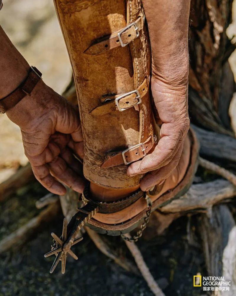 墨西哥牛仔,再也牛不起来了