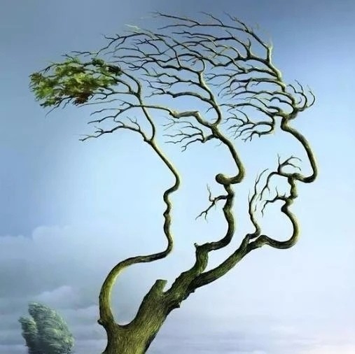 【心理测试】这张图你第一眼看到的是树还是人脸?