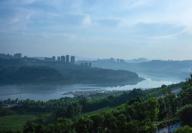 那一大片格桑花海与李子坝的"轻轨穿楼"之景同框;寸滩滨江公园的草海