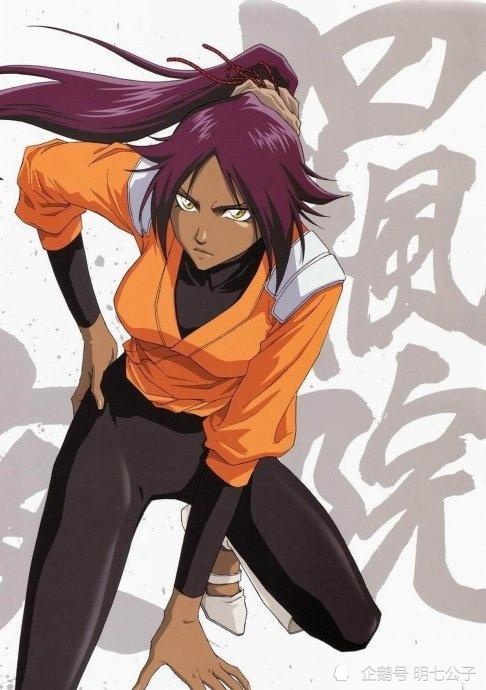 斩魄刀|漫画|夜一|灵压|剑八|碎蜂