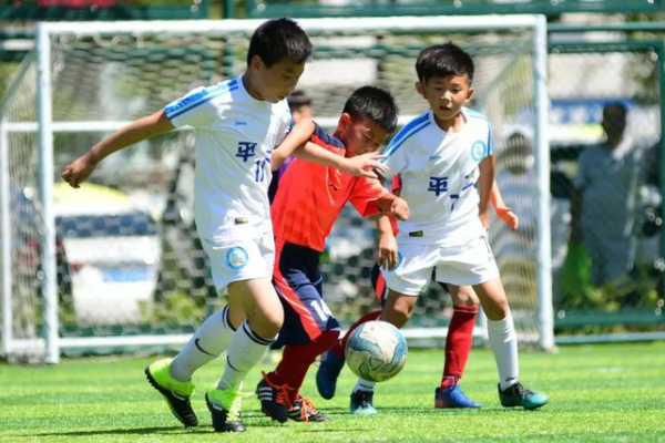 天津市小学排名top10实验小学排名第一实力依旧和平区上榜最多