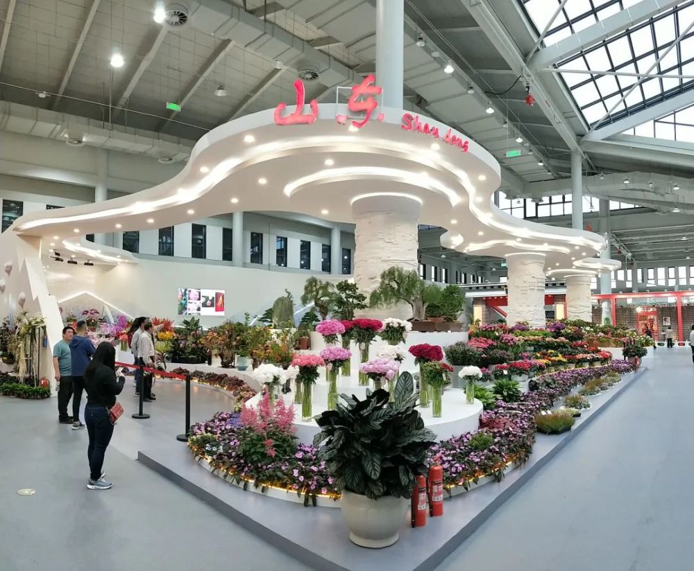 第十届中国花卉博览会圆满闭幕山东喜获佳绩