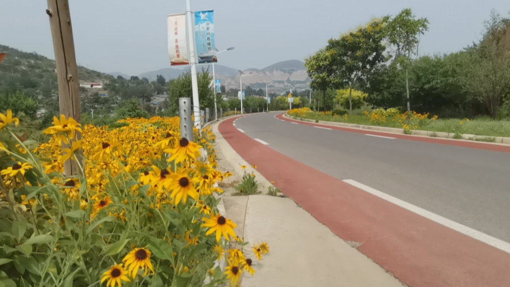 【魅力环抱路·振兴新篇章】鹿泉环抱路:串珠成链绘就乡村振兴美丽