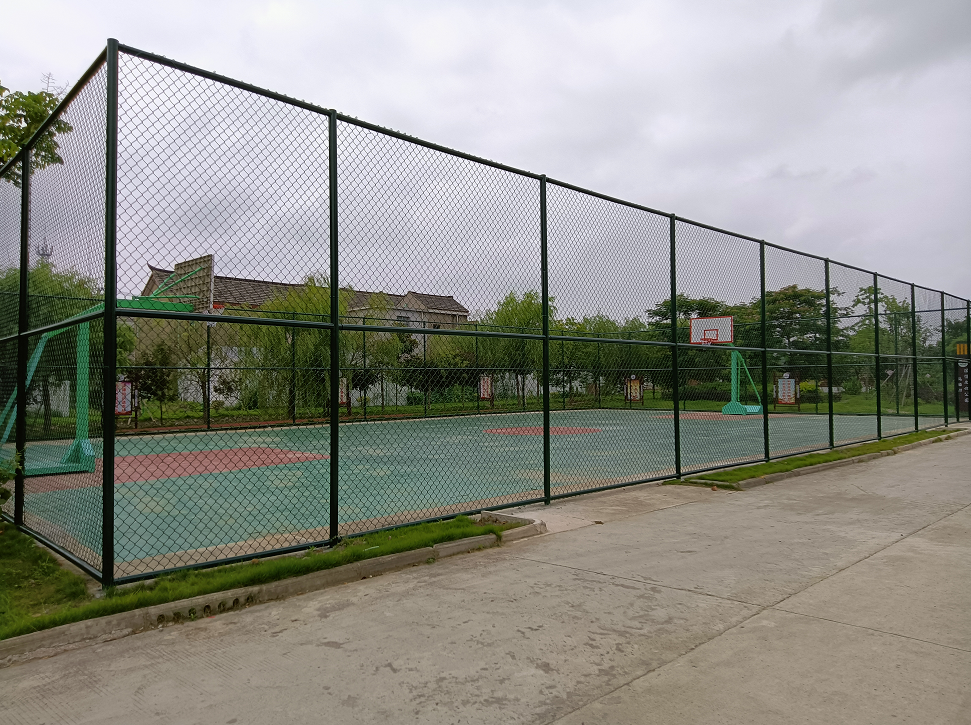 21个宝应望直港镇村村都建了