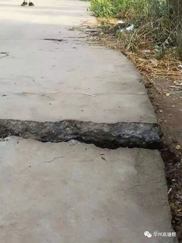 华州区高塘镇一村内路面突现大裂缝,村干部雷霆出击!