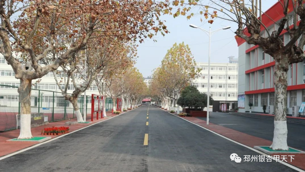 省里官宣邳州再添1所四星级高中1所三星级高中