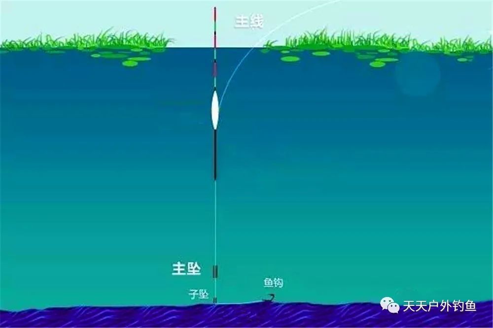 传统双铅子母坠钓法,野钓鲫鱼的一大"杀招",可钓明水也可钓草