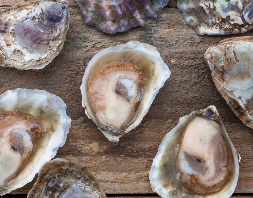 美国西部热浪席卷!46度高温肆虐,养殖场蛤蛎都熟开了