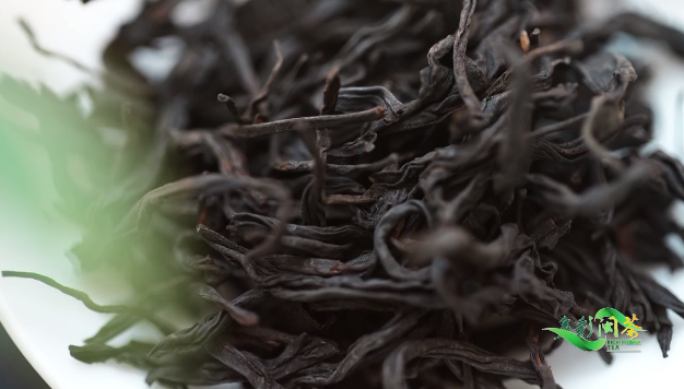 多彩闽茶|世界红茶的"鼻祖",魅力在哪?_腾讯新闻