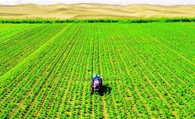 沙漠变绿洲:从25亩到17000亩——重庆交通大学科研团队治沙影像纪实