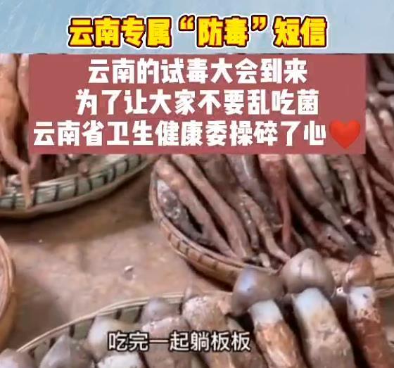 云南人吃菌中毒网友们乐开了花背后真实现状却让人笑不起来