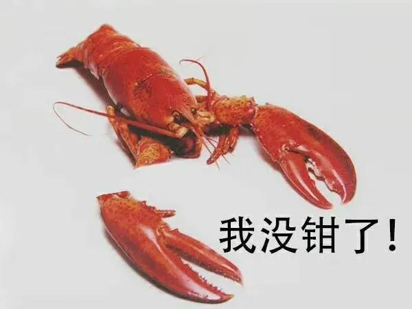 微信上线欠条功能熟人借钱再不用怕