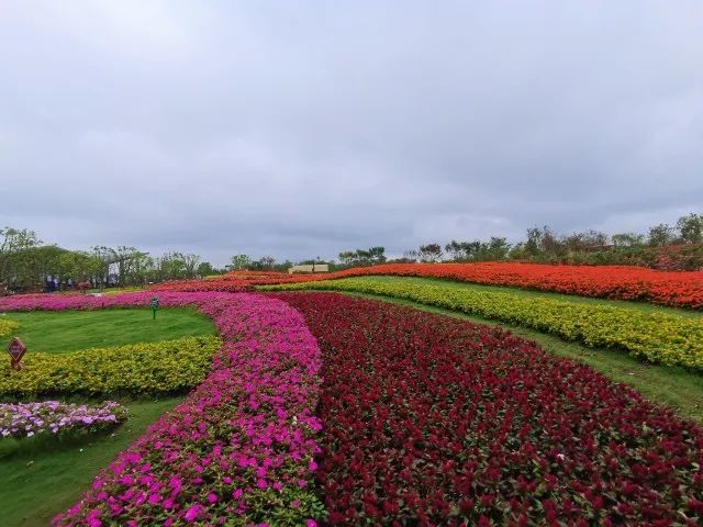 郑州高科技花卉博览园图片