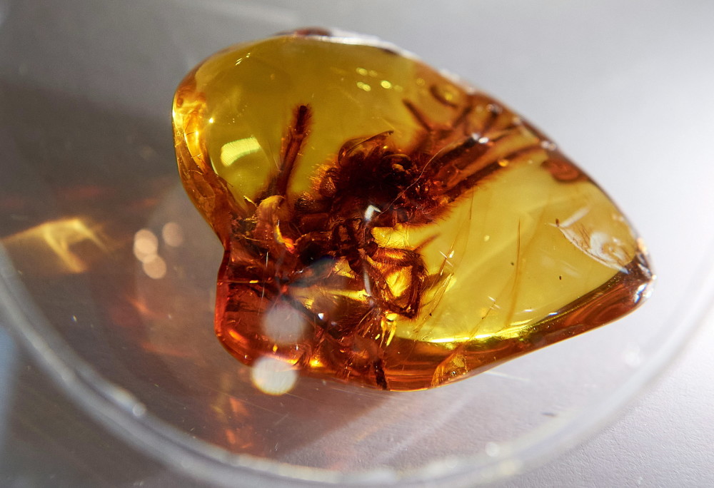 (外代二线)琥珀