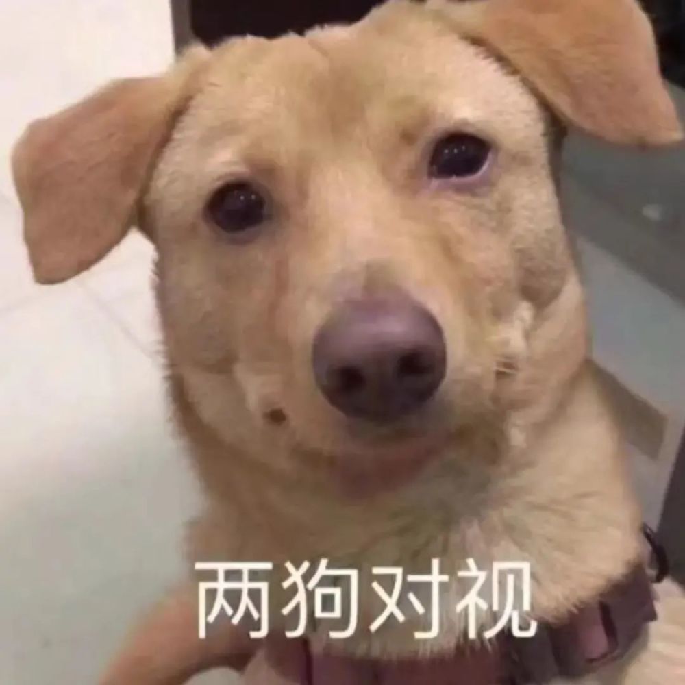 74表情包丨你的脸盘子这么大