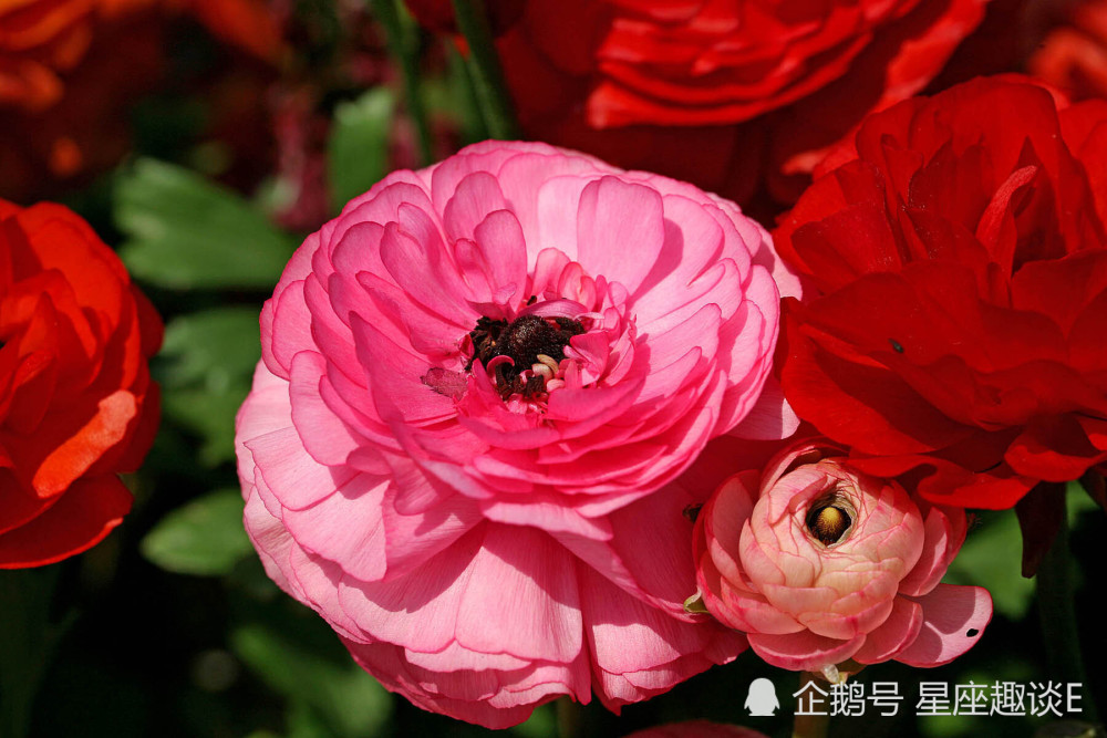 7月5日星座运势 云开雾散 蒸蒸日上的五大星座 腾讯新闻