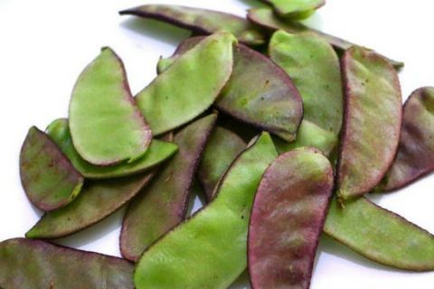 绿中带紫的扁豆富含膳食纤维经常食用有利于促进胃肠蠕动