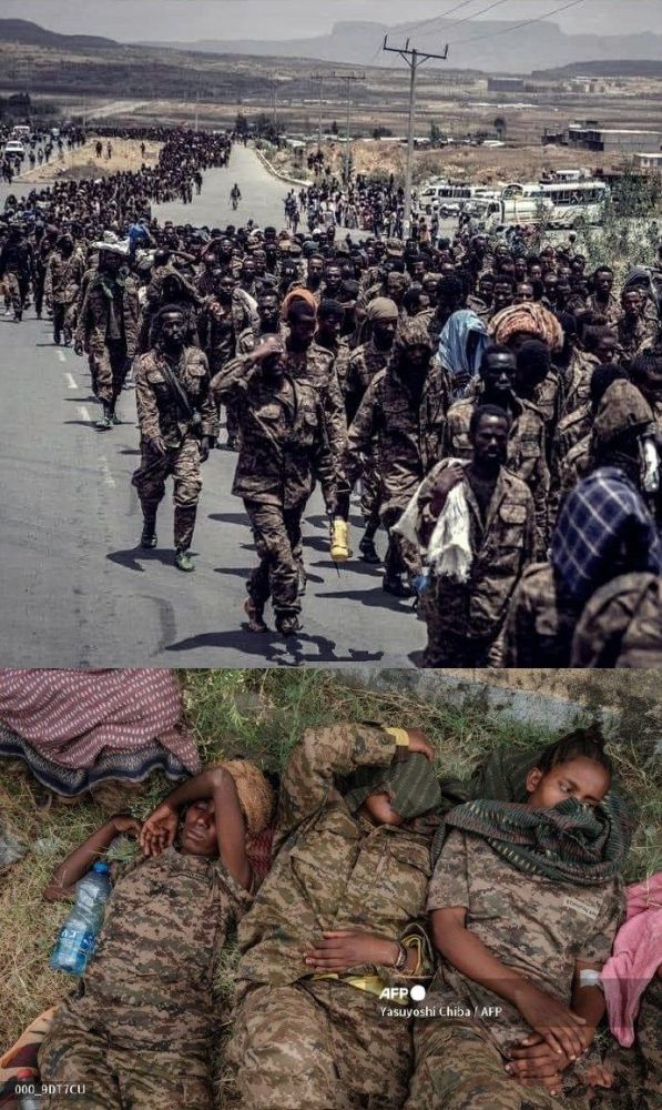 看这整整一个师的俘虏多壮观!还有大批女兵被俘:沙漠暴晒太凄惨