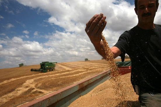 即使现在,基布兹仍然是以色列农业科技创新的基础,其半数以上的农业