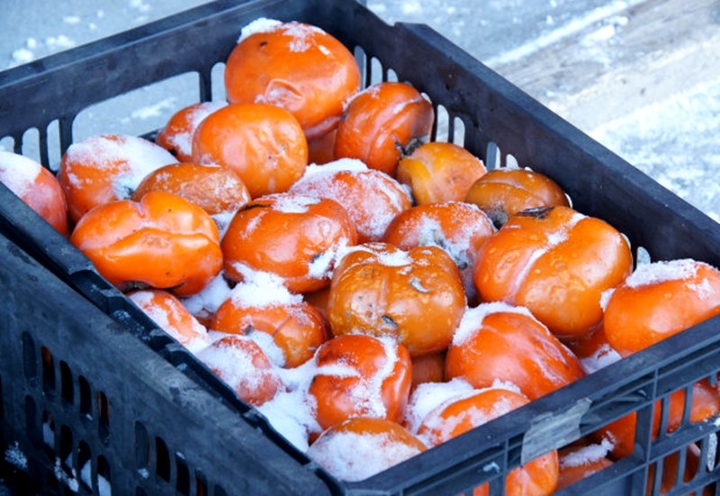 东北冰雪游之十六东北美食续