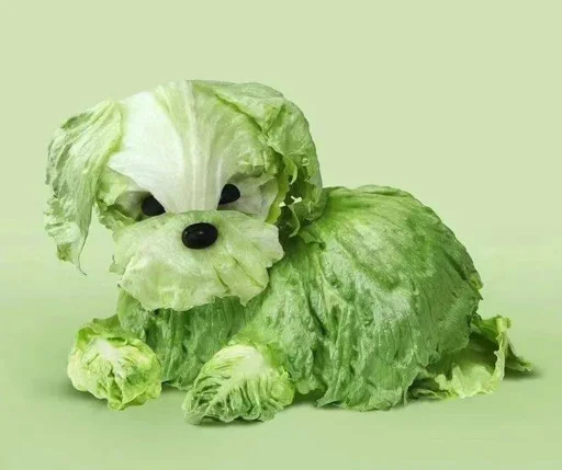 可恶 被他装到了