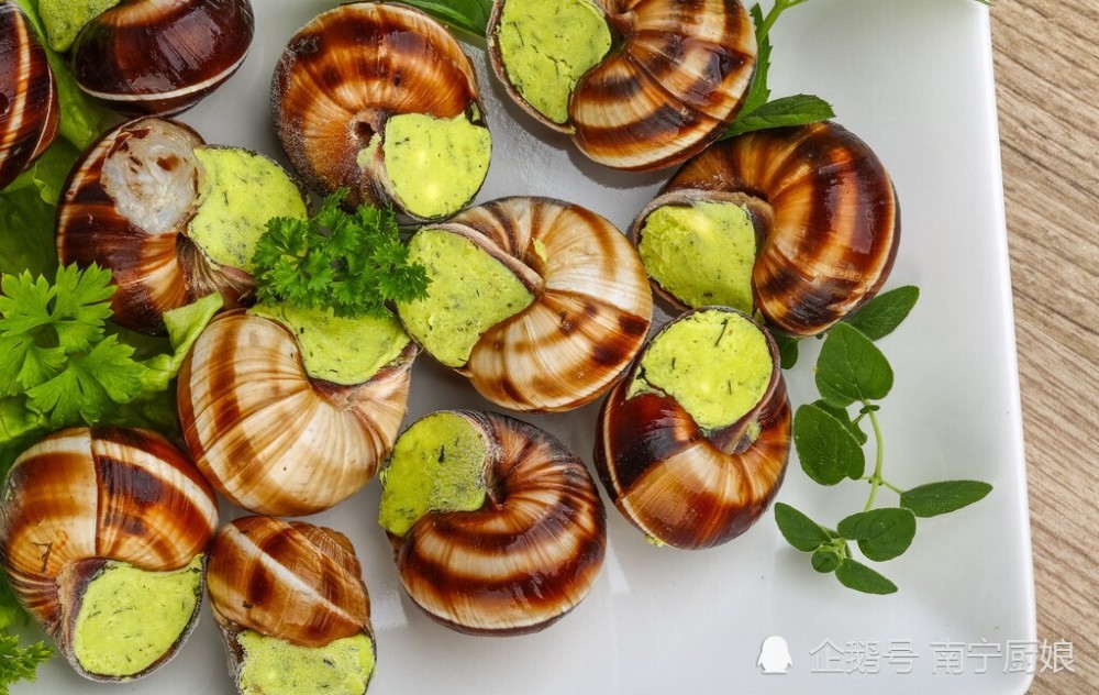 庭园蜗牛以及玛瑙蜗牛,在我国,其实也有一种蜗牛——白玉蜗牛,它也是
